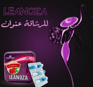 مميزات وعيوب لينوزا