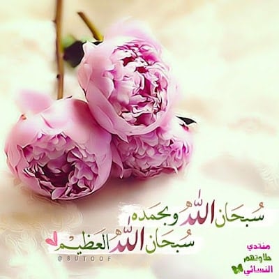 منشورات تجذب المعجبين