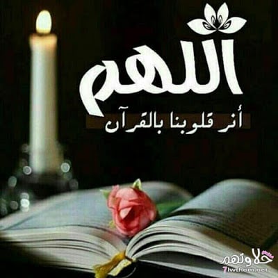 منشورات تجذب المعجبين