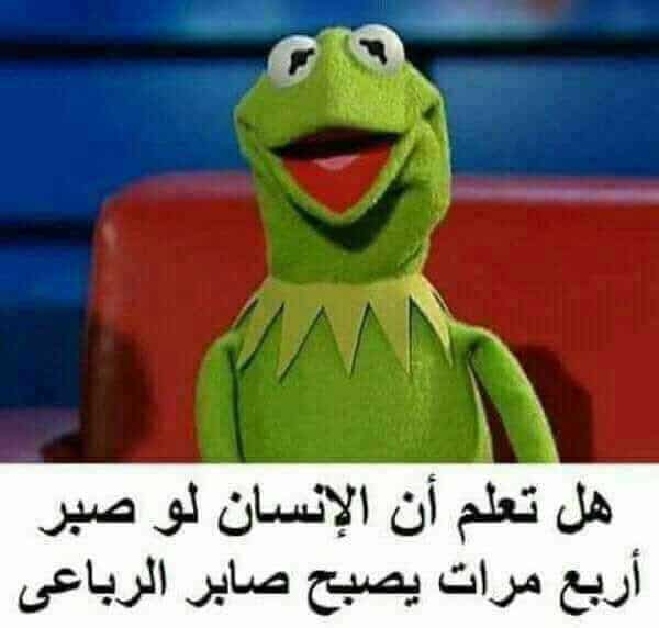 منشورات تجذب المعجبين