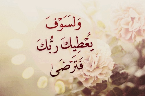 منشورات تجذب المعجبين