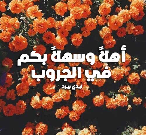 منشورات تجذب المعجبين