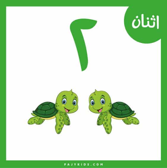 نشاط تعليم الارقام للاطفال