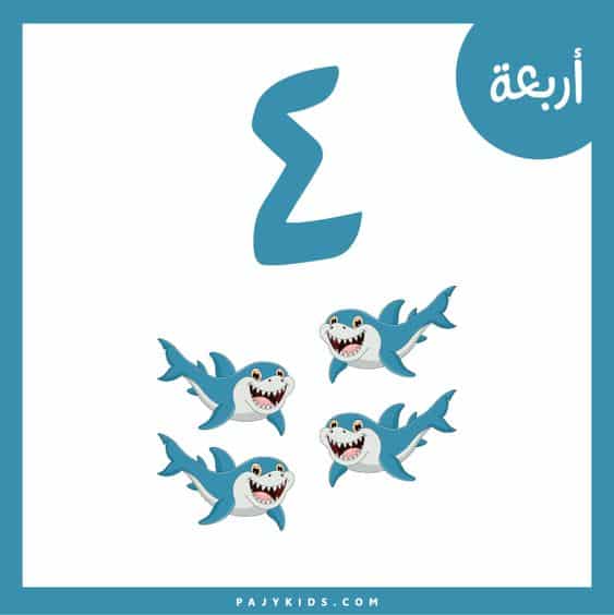 نشاط تعليم الارقام للاطفال