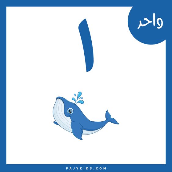 نشاط تعليم الارقام للاطفال