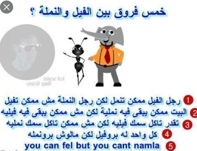 نكت نمل وفيل