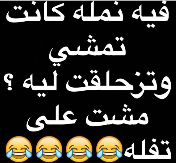 نكت نمل وفيل