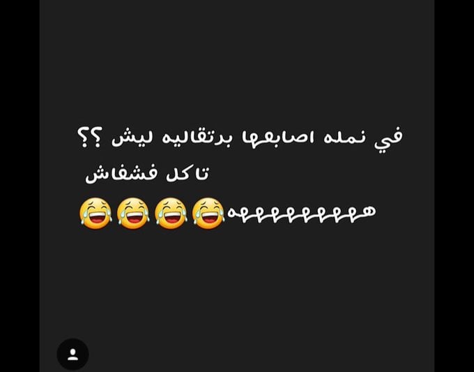 نكت نمل وفيل