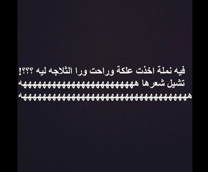 نكت نمل وفيل