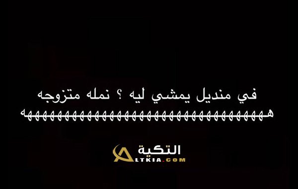 نكت نمل وفيل