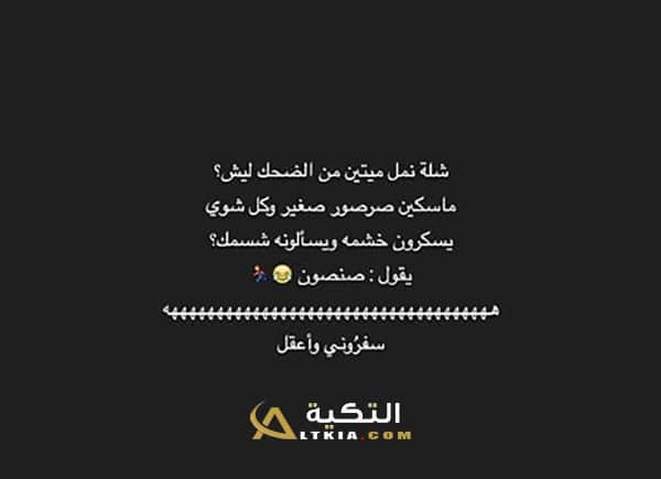 نكت نمل وفيل