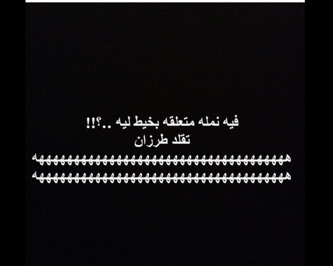 نكت نمل وفيل