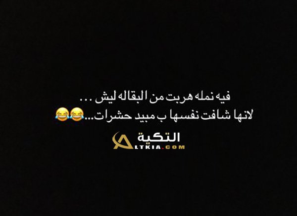 نكت نمل وفيل