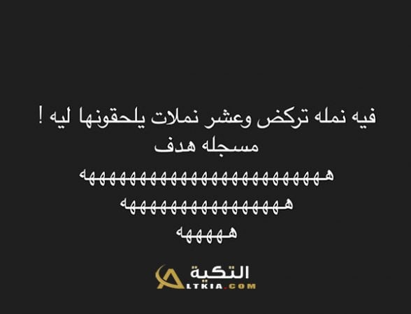 نكت نمل وفيل