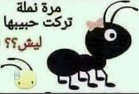 فيه نمله تركض وعشر نملات يلحقونها ليه