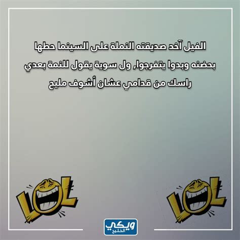 نكت تضحك موت عن النمل