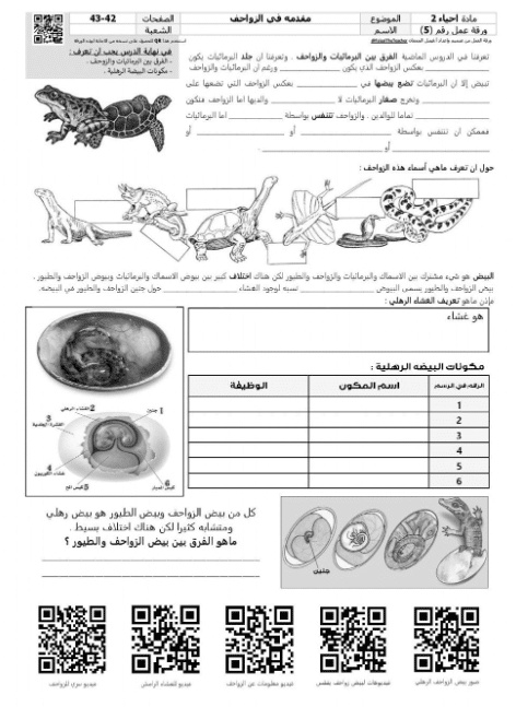 ورقة عمل الزواحف والطيور