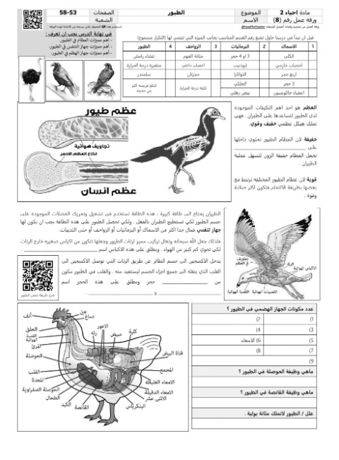 ورقة عمل الزواحف والطيور