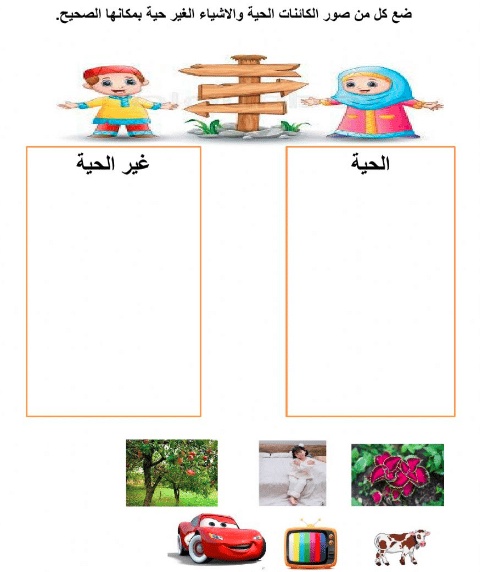 ورقة عمل الكائنات الحية والغير حية