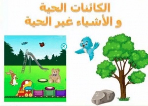 ورقة عمل الكائنات الحية والغير حية