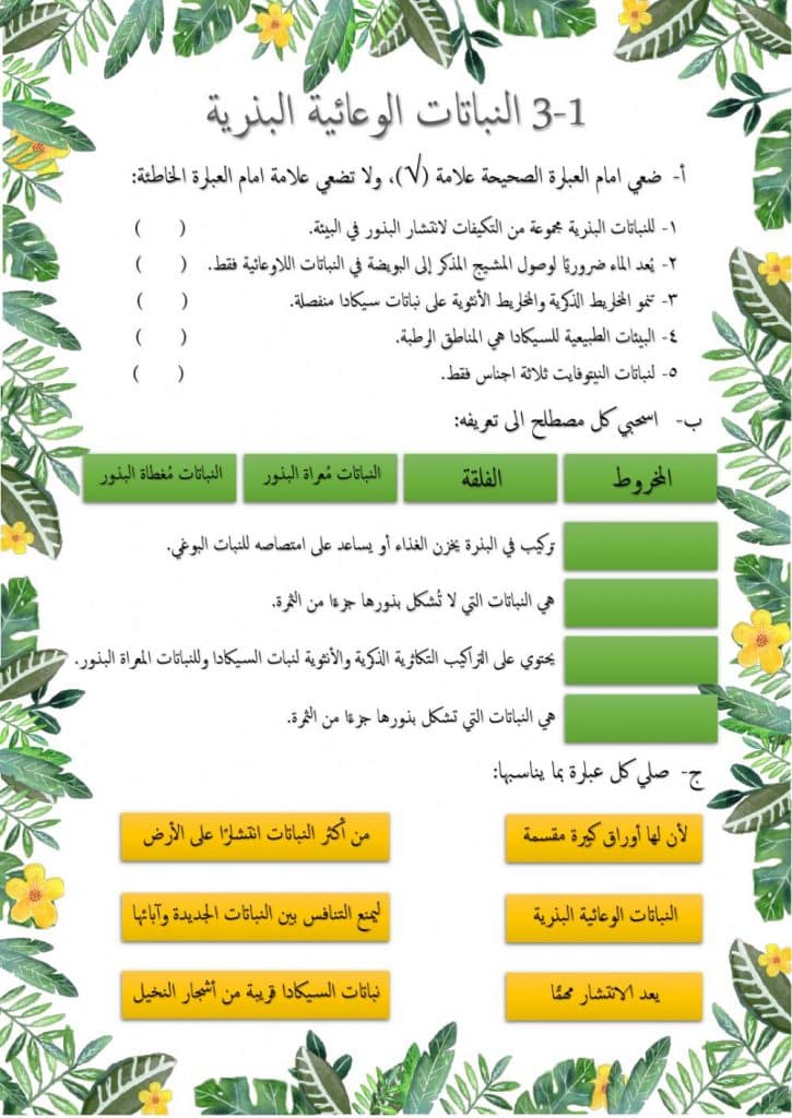 ورقة عمل النباتات الزهرية