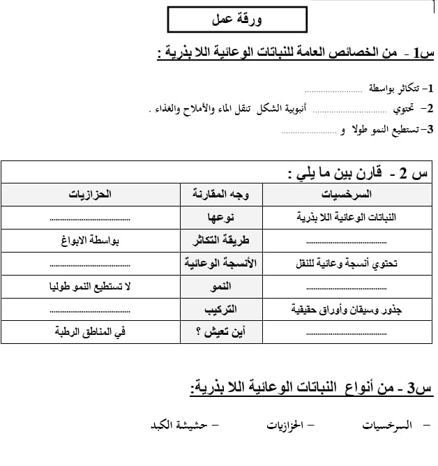 ورقة عمل النباتات الزهرية