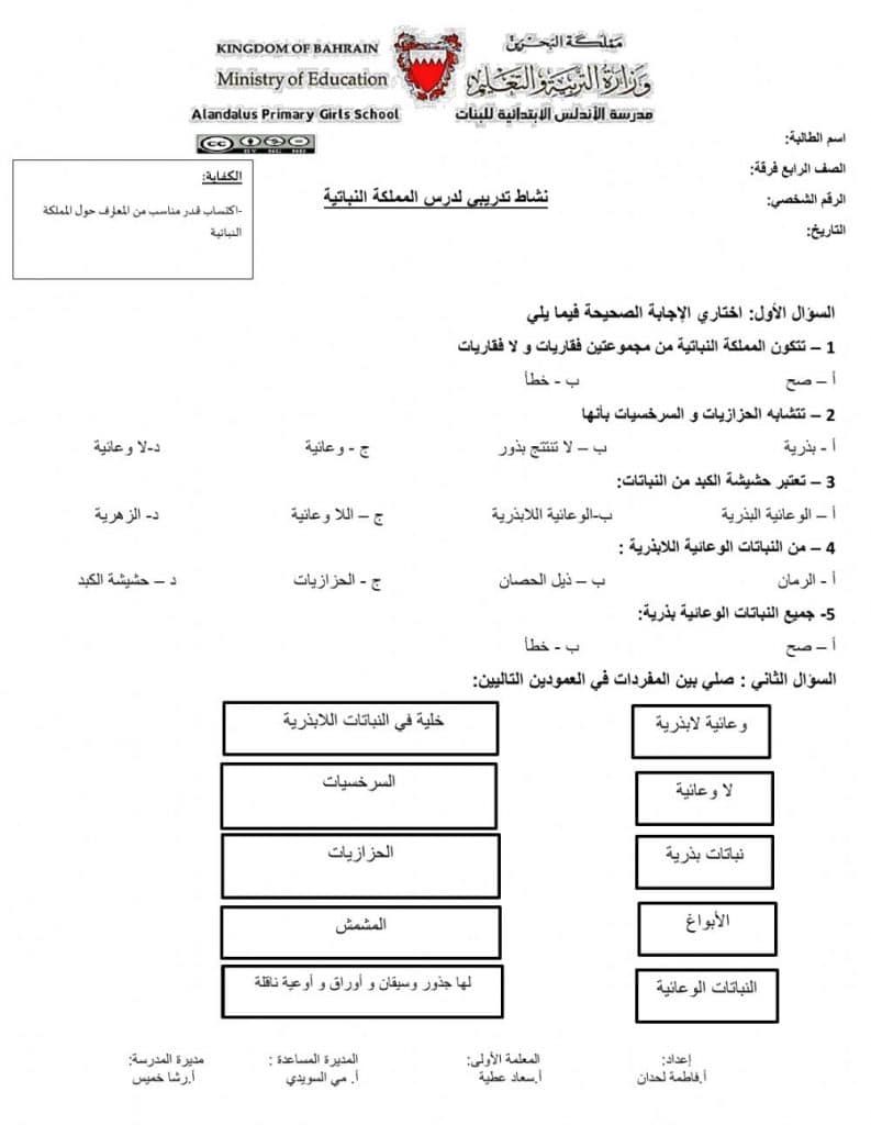 ورقة عمل النباتات الزهرية