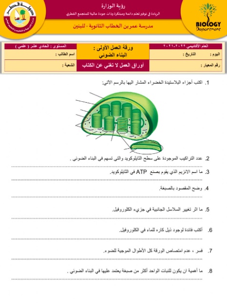 ورقة عمل النباتات الزهرية