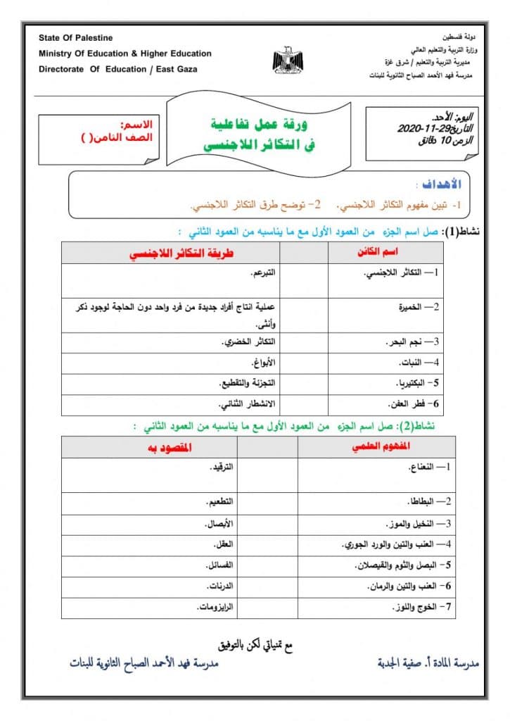 ورقة عمل النباتات الزهرية