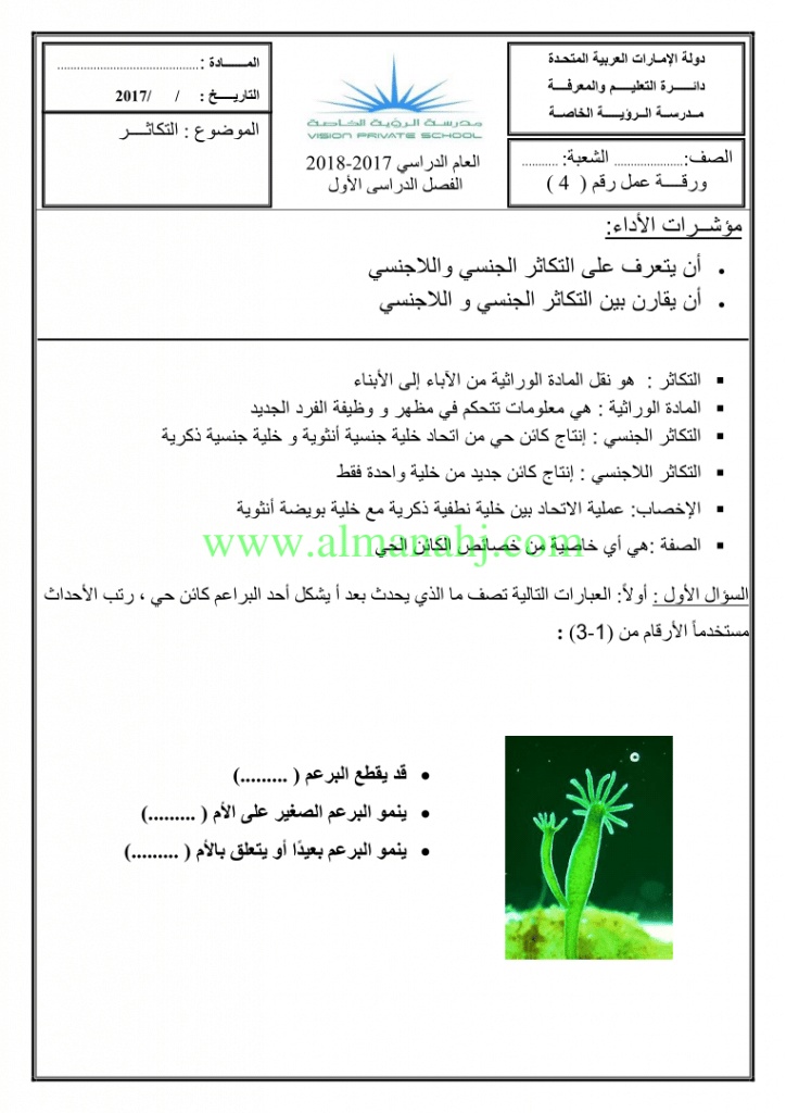 ورقة عمل النباتات الزهرية