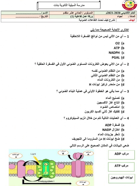 ورقة عمل النباتات الزهرية