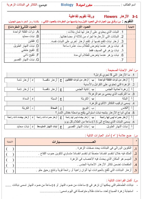 ورقة عمل النباتات الزهرية