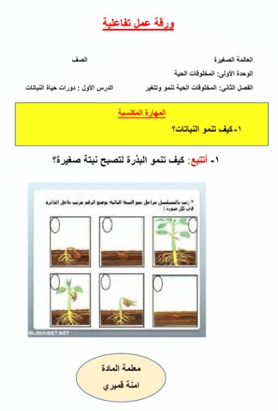 ورقة عمل النباتات الزهرية