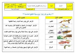 ورقة عمل النباتات الزهرية