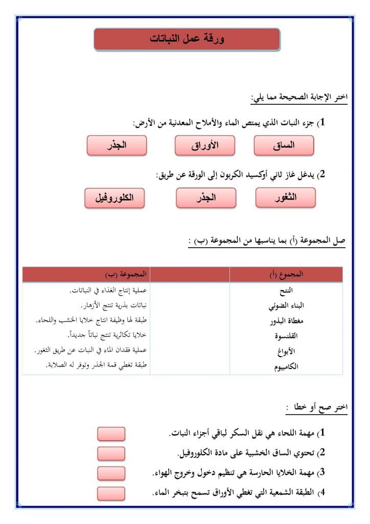 ورقة عمل النباتات الزهرية