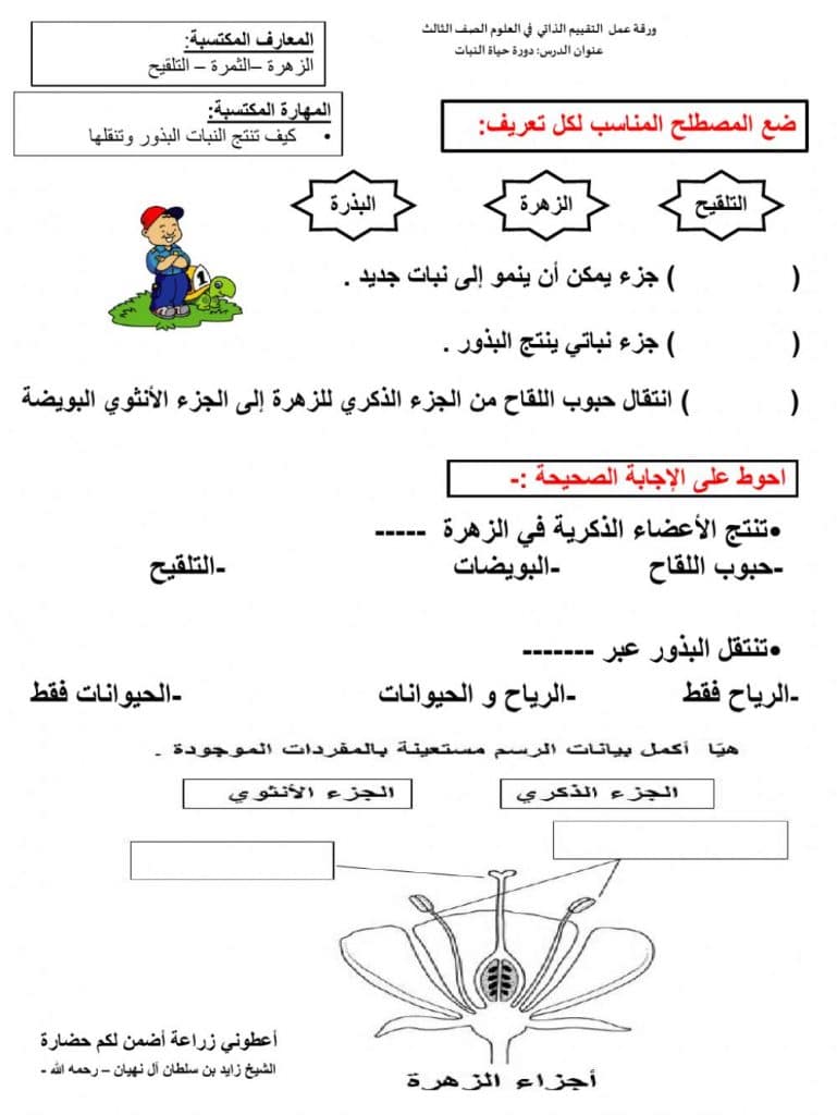 ورقة عمل النباتات الزهرية