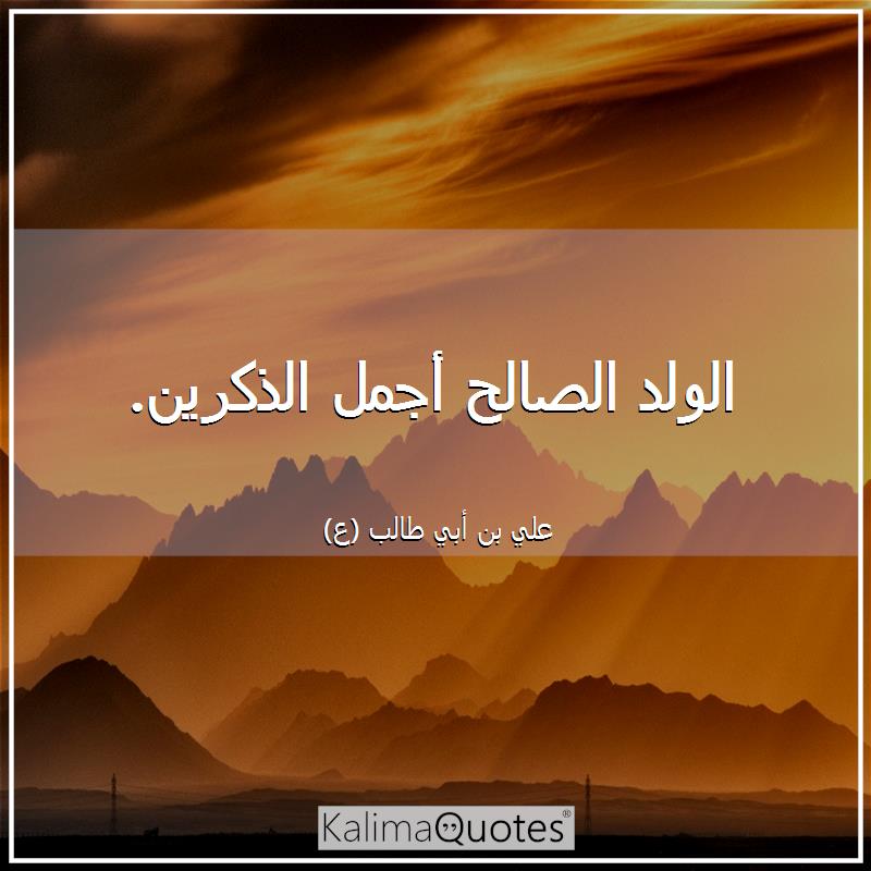 اجمل ما قيل عن الولد الصالح