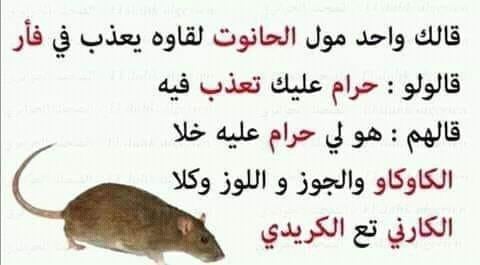 اجمل نكت جزائرية مضحكة