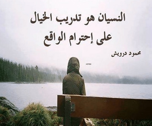 اقوال مأثورة عن الذاكرة