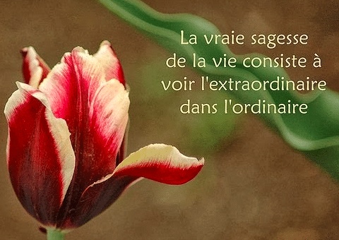 اقوال وحكم عن الحياة بالفرنسية