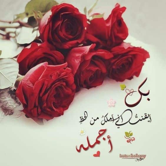 خلفيات مكتوب عليها كلام حب