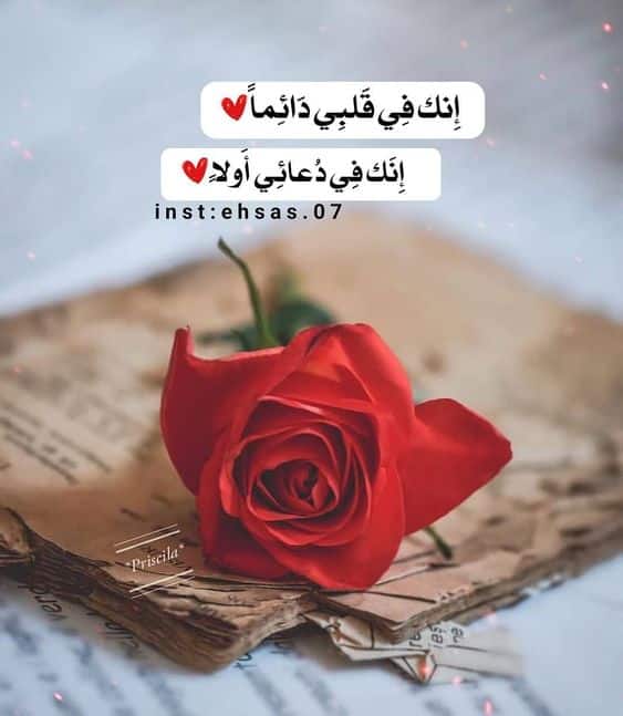 خلفيات مكتوب عليها كلام حب