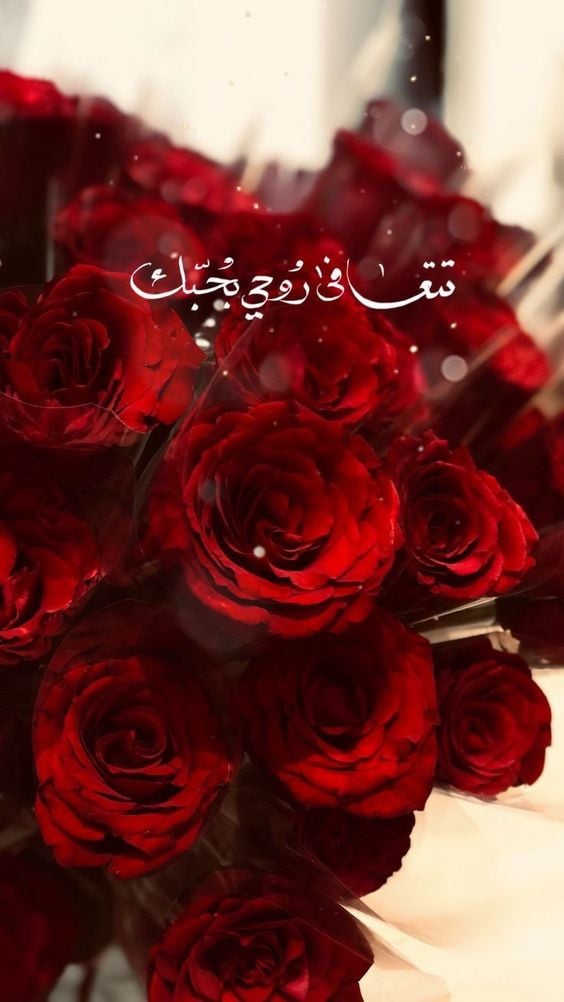 خلفيات مكتوب عليها كلام حب