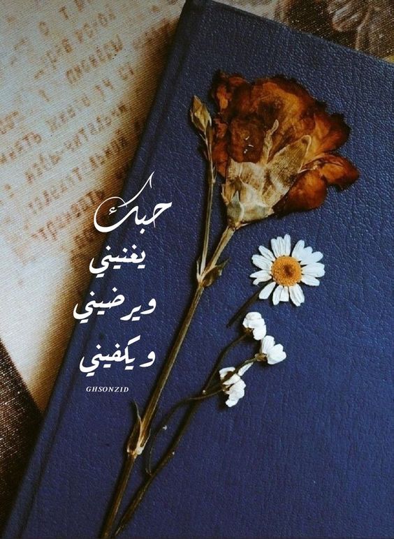 خلفيات مكتوب عليها كلام حب