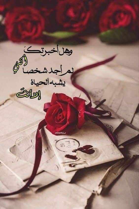 خلفيات مكتوب عليها كلام حب