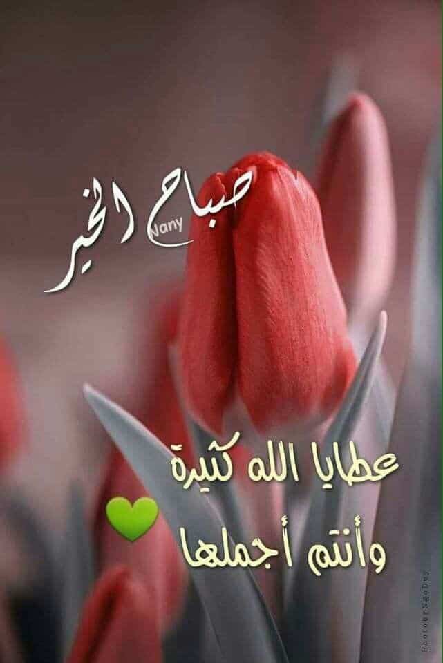 دعاء الصباح للأصدقاء