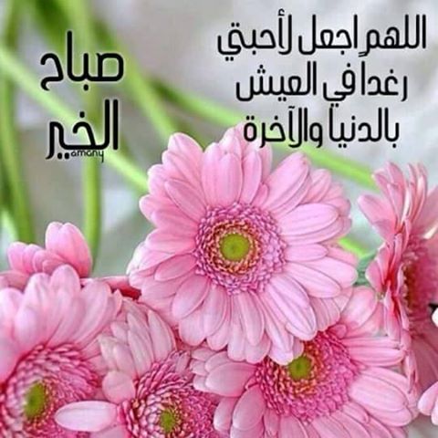 دعاء الصباح للأصدقاء