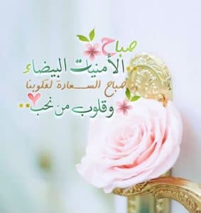 دعاء الصباح للحبيبة