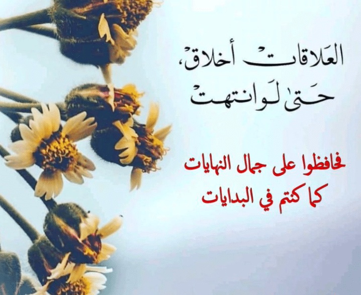 عبارات بداية جديدة