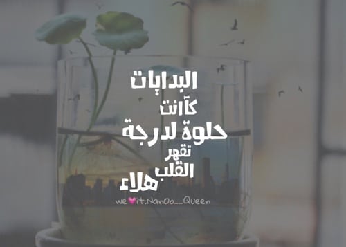 عبارات بداية جديدة